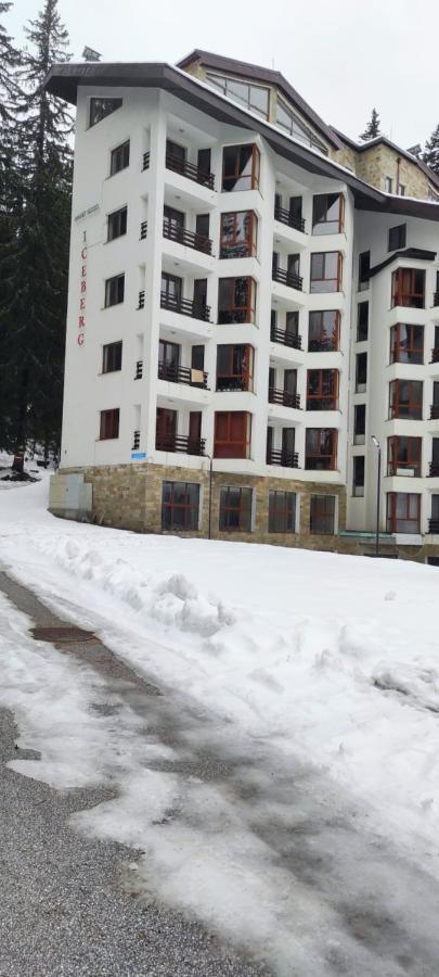 Forest Place Apartman Pamporovo Kültér fotó